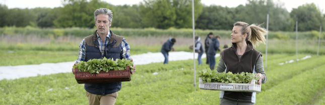 Gardening qualifications